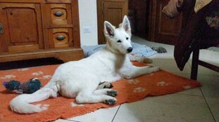 adae08ba-f03c-473e-82ec-48e7e9082524