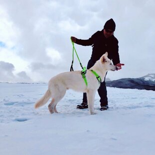 8b905f34-a3a5-4c90-967e-79c28f510d55