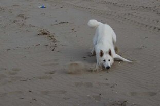 5894f758-6cf5-4710-a22d-5aff31258467