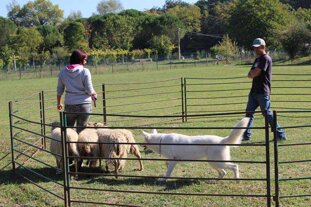 c81feb1f-06ea-4246-a941-fcec4b4ff06d