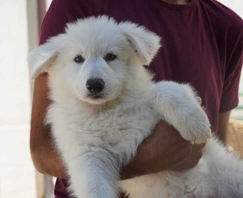 571e8fa5-8419-4255-abbc-02c8f1dc37dd