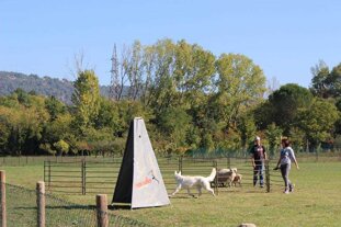 a219253b-ce3a-41ef-ab92-ff4f410b7b37