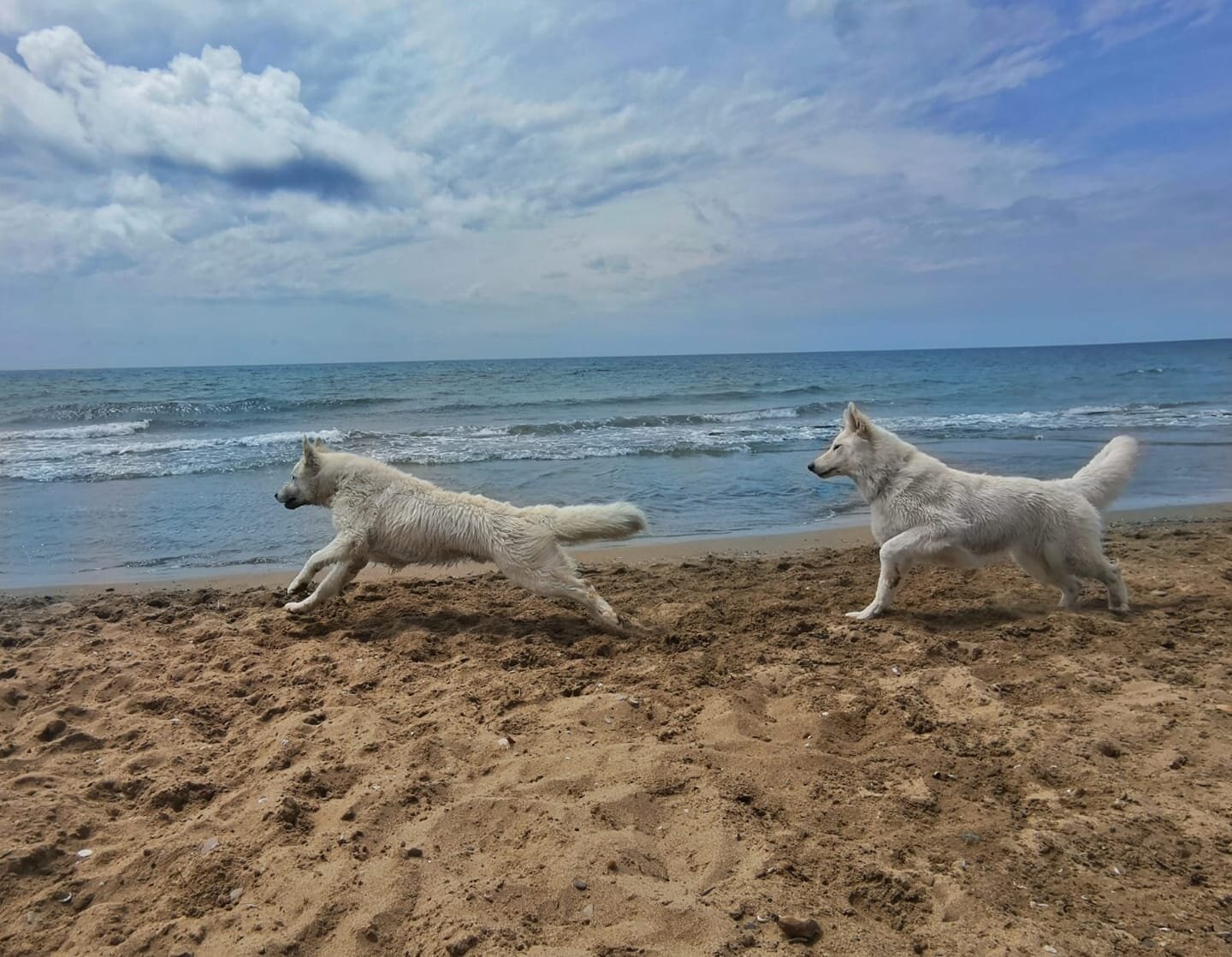 Bau-Beach istruzioni per l'uso e recensioni 2020