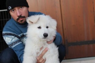 d9b63aae-fcf3-4d03-909a-b3596a76dede