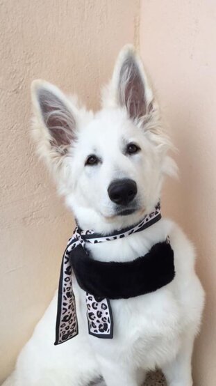 719c56a6-2614-419b-a777-a4283cd8f790