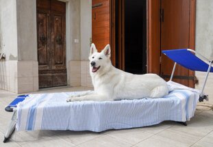 2e524dc7-a7fe-4291-b511-92f9203e87bd