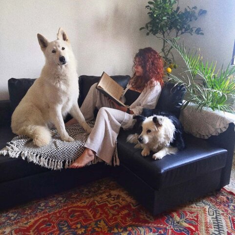 b0de04c8-d8a2-4178-b415-47cb70c91ade