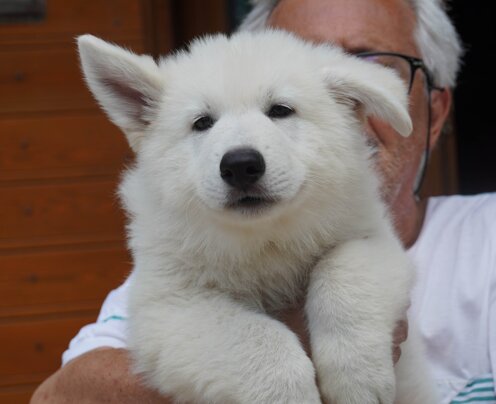 e322b873-228b-4c36-9566-1434db5276c5