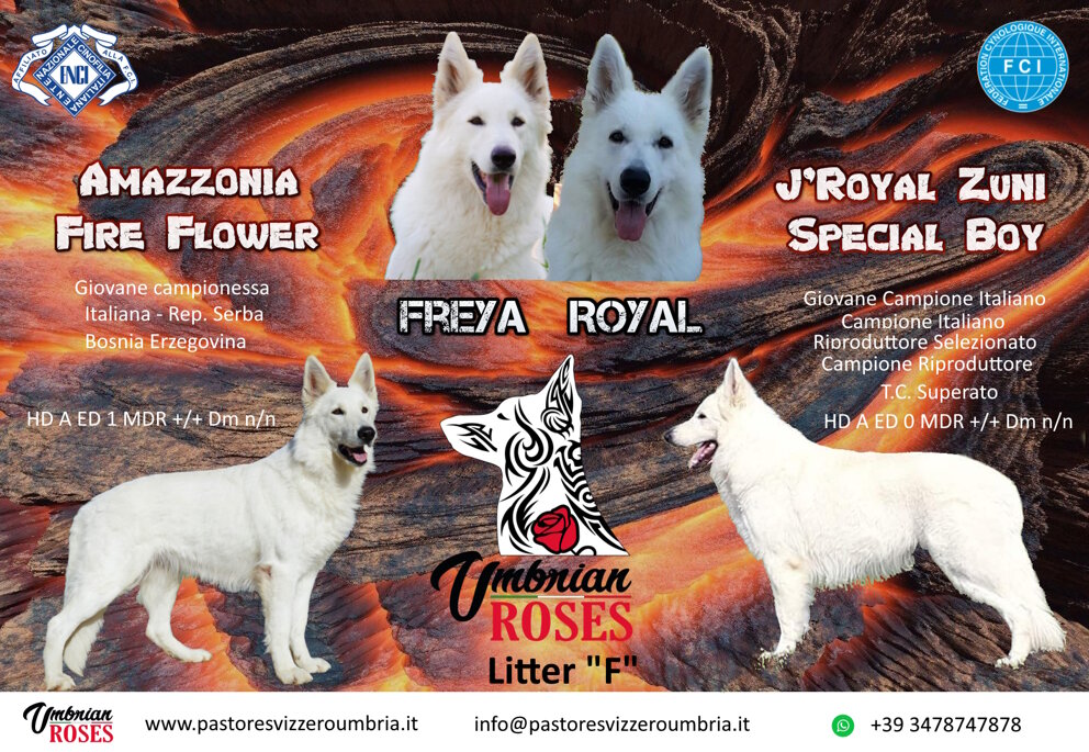 1357e888-c9a4-4ddc-b0bd-38377375d8ba