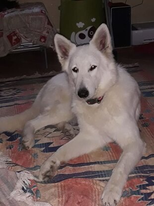 deca4a01-cdb6-47e7-9bb2-d0104ab59251