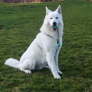 b3a60002-75da-4c9c-8dd9-19e51ff9b6f2