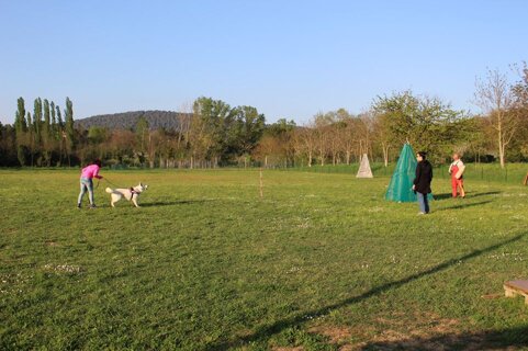 1ada03bd-3537-4cb3-a85f-ec1eeebbac77