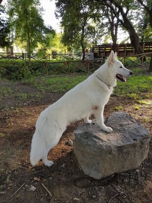 45d21479-1ac3-41bb-ac85-fea9c177e6a1