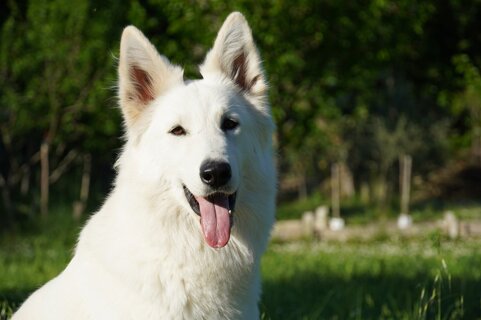 4e41ab85-fb48-4023-8b98-de80ae616365