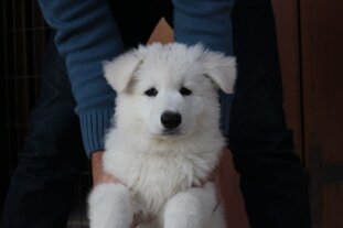 1595cf05-2651-40d3-a1b4-1ca0d9b6b7ab