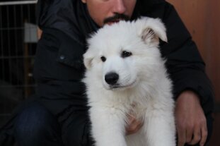 6ae6dfb0-7308-4f84-a90a-46b417de092a