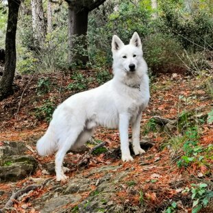 ebcab76e-3c12-44f4-a482-bcc35e919483