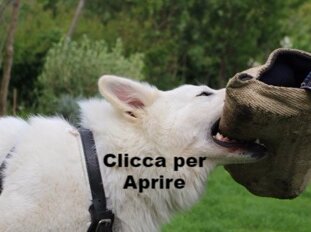 eec9a653-f22e-4f4a-9d55-a7bd36df2583