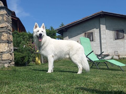 b73c9954-45da-4f6e-ba64-4b769375ce7a