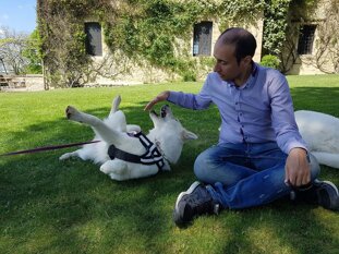 34e0c866-dd8d-49fe-a4b9-55537416ff26