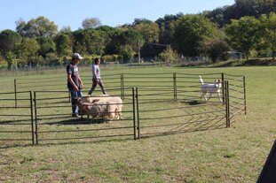 8fb1ba12-3095-4002-a8a4-b852e422bc82