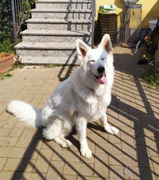 92589907-a2fb-46aa-b944-031dcebf930a