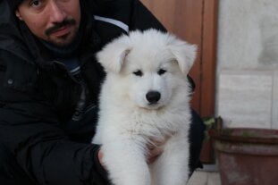 89c65144-5025-43fa-b322-8a324266ffc5