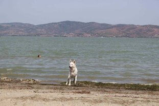 c268c557-5ccf-4617-8b34-c682d6a2736b