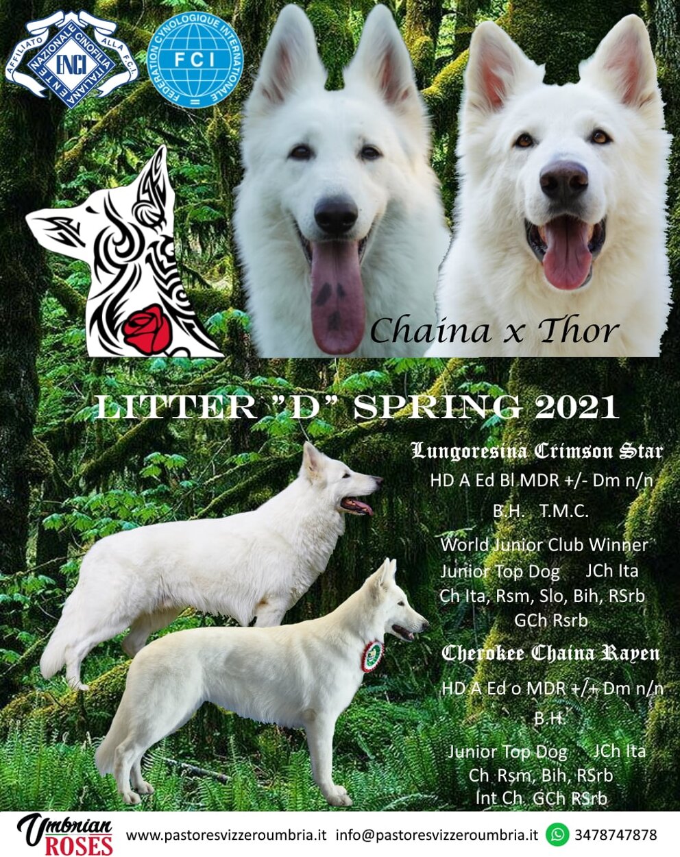 7d2ef9b5-1d87-4dd6-a879-a4ee9c4add35