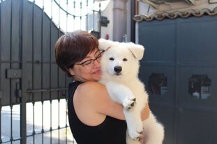 bb92e10b-78bb-43e6-ac1f-3f0413004f8a