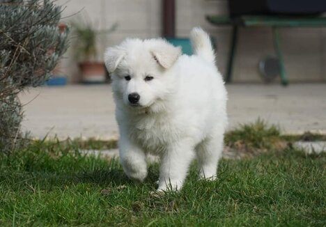 15f04f73-d84d-4711-8acb-9e9f1c959fa8 15f04f73-d84d-4711-8acb-9e9f1c959fa8