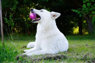 32946582-d55d-4e9b-a2ed-73bae99aabb6