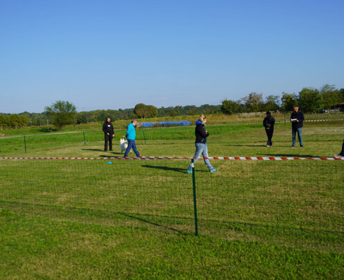 richiamo in mezzo ai figuranti richiamo in mezzo ai figuranti