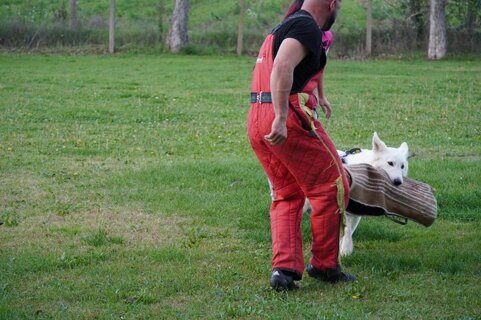 e5b24a70-60b0-4c6d-abee-a39b816fdda5 e5b24a70-60b0-4c6d-abee-a39b816fdda5