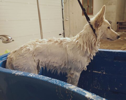 a316c5fc-3f23-4851-b89e-01151791ed25