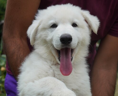 766f9f15-d67a-44f3-bba1-80e28c02efce