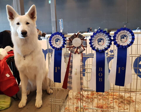 935f110b-7a0a-4e5d-b7dd-b3cde710b412