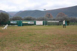 abc6aaef-b6e7-4743-bf4f-7fccd3265064 abc6aaef-b6e7-4743-bf4f-7fccd3265064