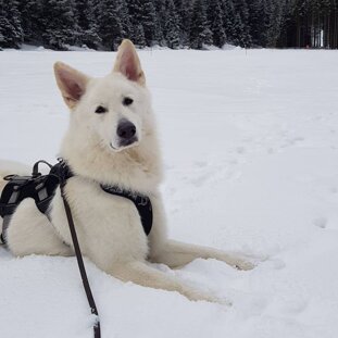 ca5ab328-e668-4efc-81de-91164c87aed5