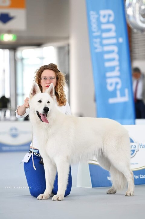 f6857985-4902-42ad-8c8d-61eb22c7068b