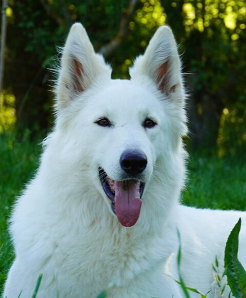 5beae3ac-4f4a-43eb-abc6-9e082ee6d7ad