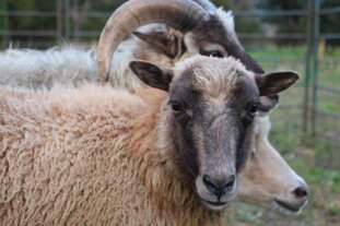 a1ce07a2-2287-4a29-8a9e-4d787e02f7f0 a1ce07a2-2287-4a29-8a9e-4d787e02f7f0