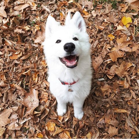 6819ce82-5e60-405c-8b56-e0b6e57c6ddd