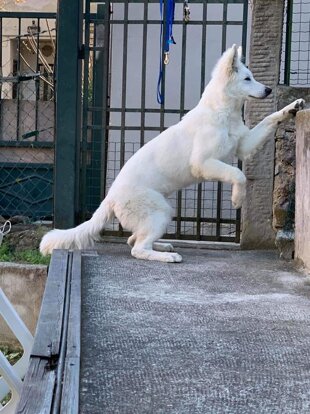 cab01c3d-5991-4cc5-8594-430e8753ebe4