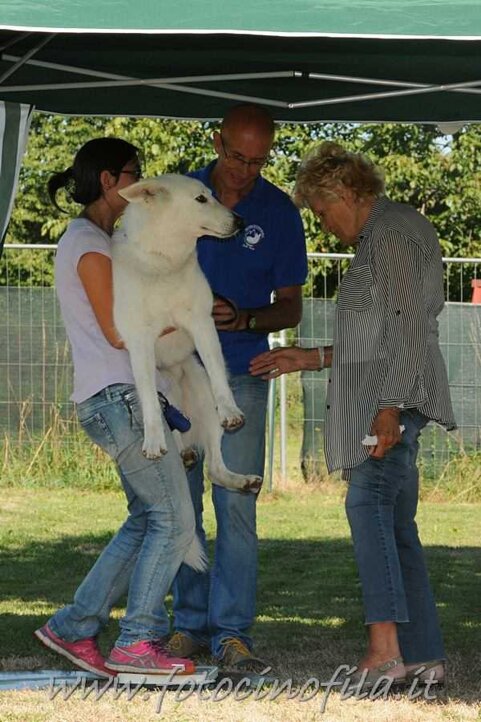 e4d6ed9a-6df8-47b7-ace9-45549c07d1da e4d6ed9a-6df8-47b7-ace9-45549c07d1da