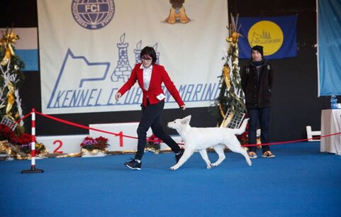 9673e5aa-f066-4626-bf4b-4351f799f0d7