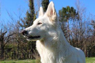 c3ae44f7-ab9b-4825-a63e-559b3e66da06