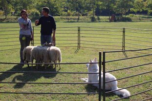 f3f26287-5e16-4ba1-a1a1-5f95bd2fe65d f3f26287-5e16-4ba1-a1a1-5f95bd2fe65d