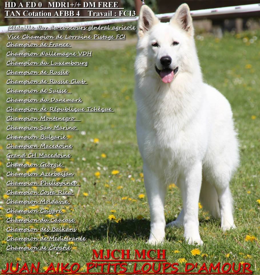 de648d1f-d89f-4524-ac30-e8c86a35f724