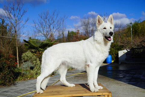 04973e7a-d39f-492d-ab4a-bd9a083c7277